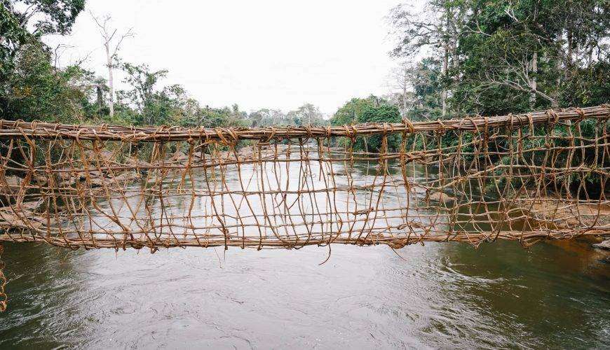 Un pont de corde tressé traditionnel enjambe une rivière tranquille, flanquée d'une verdure luxuriante dans ce qui semble être une forêt dense en Côte d'Ivoire.