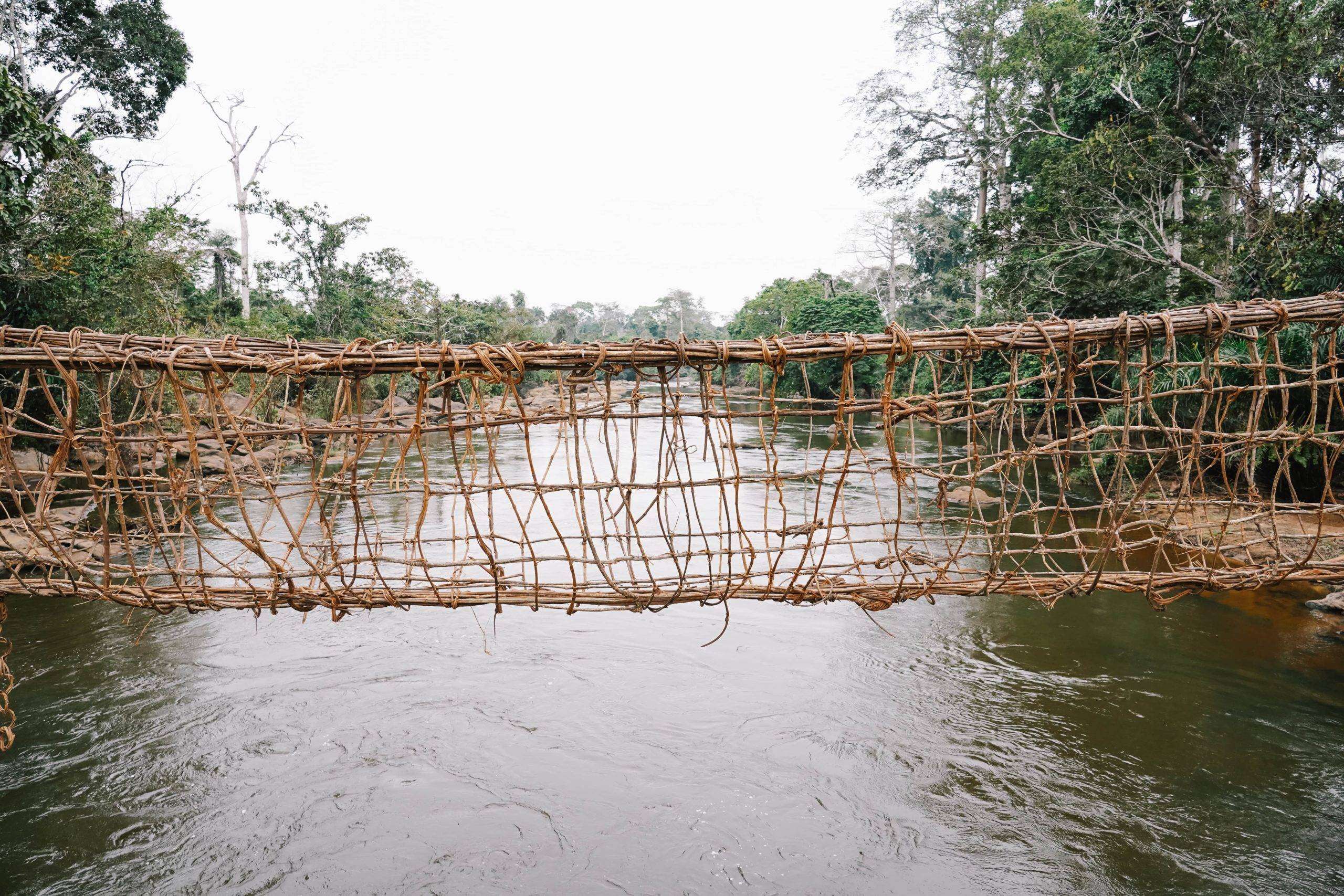 Un pont de corde tressé traditionnel enjambe une rivière tranquille, flanquée d'une verdure luxuriante dans ce qui semble être une forêt dense en Côte d'Ivoire.
