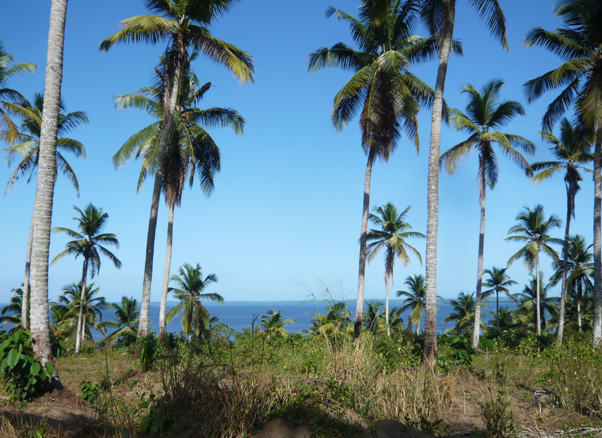 Adiaké