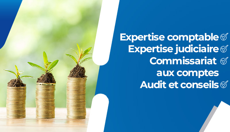 découvrez les meilleurs conseils pour profiter pleinement de votre séjour à abidjan. que ce soit pour explorer ses attractions culturelles, savourer sa cuisine locale ou naviguer dans la vie quotidienne de la ville, trouvez les astuces indispensables pour une expérience inoubliable.