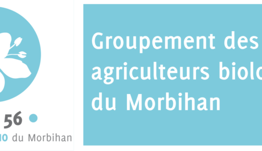 découvrez comment le tourisme responsable peut transformer les collectivités en préservant l'environnement, en soutenant les économies locales et en enrichissant l'expérience des visiteurs. engagez-vous pour un avenir durable où la convivialité et la responsabilité vont de pair.