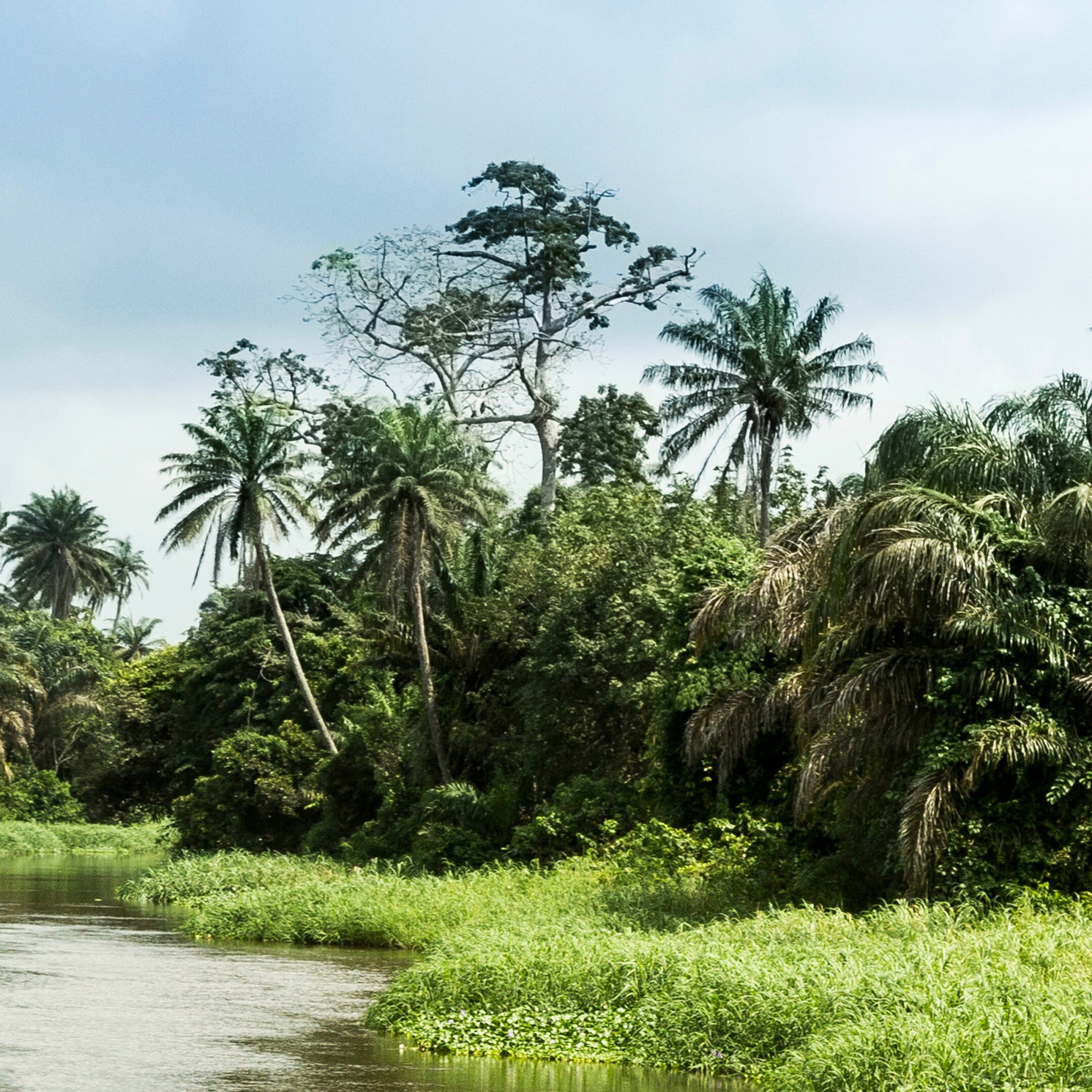 découvrez les conseils essentiels pour une santé optimale lors de votre voyage à abidjan. informez-vous sur les précautions sanitaires, les vaccinations recommandées et les meilleures pratiques pour profiter pleinement de votre séjour dans la vibrante capitale ivoirienne.