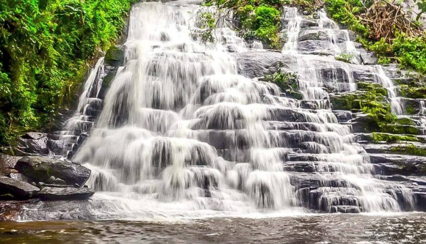 découvrez les merveilles du tourisme en côte d'ivoire : plages paradisiaques, réserves naturelles, culture riche et gastronomie savoureuse. explorez des villes vibrantes comme abidjan et yamoussoukro, et plongez dans une expérience inoubliable au cœur de l'afrique de l'ouest.