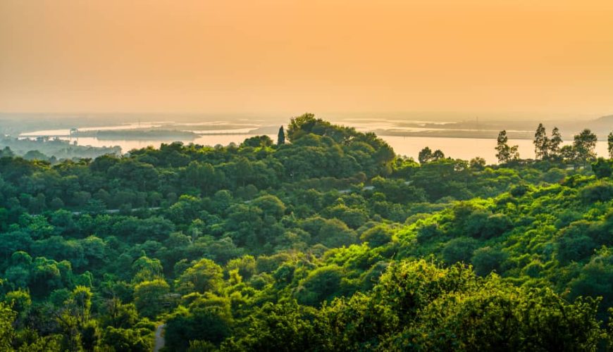 découvrez les paysages époustouflants et la culture riche de la côte d'ivoire à travers une aventure inoubliable. explorez ses parcs naturels, ses plages paradisiaques et vivez des expériences authentiques au cœur de ce pays fascinant.