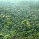 découvrez le tourisme durable en côte d'ivoire : une expérience authentique qui respecte l'environnement et les communautés locales. explorez des paysages magnifiques, participez à des initiatives écologiques et savourez la richesse culturelle ivoirienne tout en préservant la planète pour les générations futures.