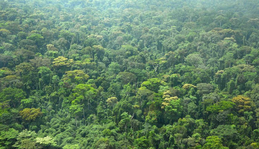découvrez le tourisme durable en côte d'ivoire : une expérience authentique qui respecte l'environnement et les communautés locales. explorez des paysages magnifiques, participez à des initiatives écologiques et savourez la richesse culturelle ivoirienne tout en préservant la planète pour les générations futures.