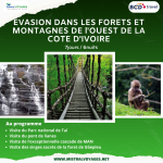 découvrez les programmes touristiques en côte d'ivoire, une destination riche en culture et en paysages à couper le souffle. explorez des circuits variés, des excursions inoubliables et plongez au cœur de la diversité ivoirienne.