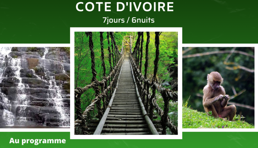 découvrez les programmes touristiques en côte d'ivoire, une destination riche en culture et en paysages à couper le souffle. explorez des circuits variés, des excursions inoubliables et plongez au cœur de la diversité ivoirienne.