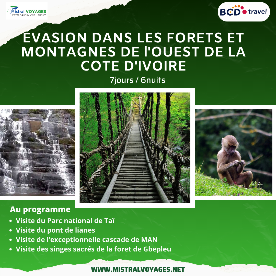 découvrez les programmes touristiques en côte d'ivoire, une destination riche en culture et en paysages à couper le souffle. explorez des circuits variés, des excursions inoubliables et plongez au cœur de la diversité ivoirienne.