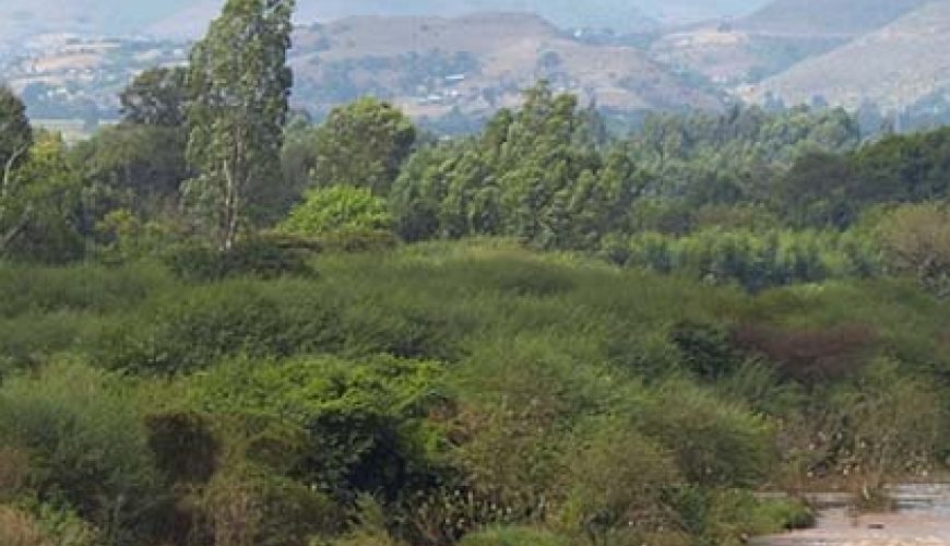 découvrez les merveilles du tourisme local en afrique : des paysages époustouflants, une richesse culturelle incomparable et des expériences authentiques qui vous rapprochent des habitants. explorez des destinations uniques tout en soutenant les communautés locales.