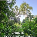 découvrez notre stratégie touristique pour la côte d'ivoire, un pays riche en culture et en paysages variés. explorez des initiatives innovantes visant à promouvoir le tourisme durable, à valoriser le patrimoine naturel et à attirer les visiteurs du monde entier. plongez dans l'univers ivoirien et préparez votre prochaine aventure!