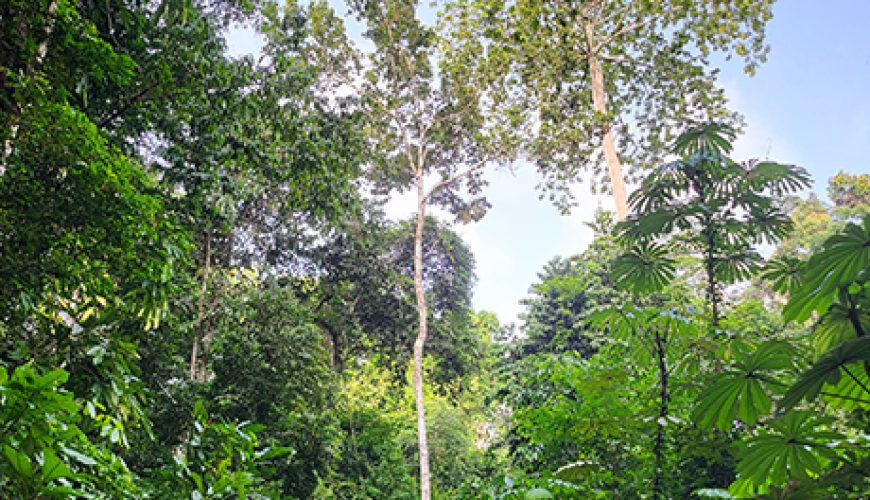 découvrez notre stratégie touristique pour la côte d'ivoire, un pays riche en culture et en paysages variés. explorez des initiatives innovantes visant à promouvoir le tourisme durable, à valoriser le patrimoine naturel et à attirer les visiteurs du monde entier. plongez dans l'univers ivoirien et préparez votre prochaine aventure!