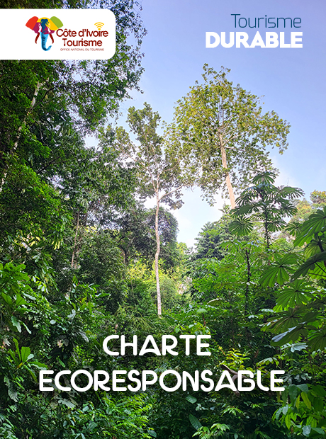 découvrez notre stratégie touristique pour la côte d'ivoire, un pays riche en culture et en paysages variés. explorez des initiatives innovantes visant à promouvoir le tourisme durable, à valoriser le patrimoine naturel et à attirer les visiteurs du monde entier. plongez dans l'univers ivoirien et préparez votre prochaine aventure!