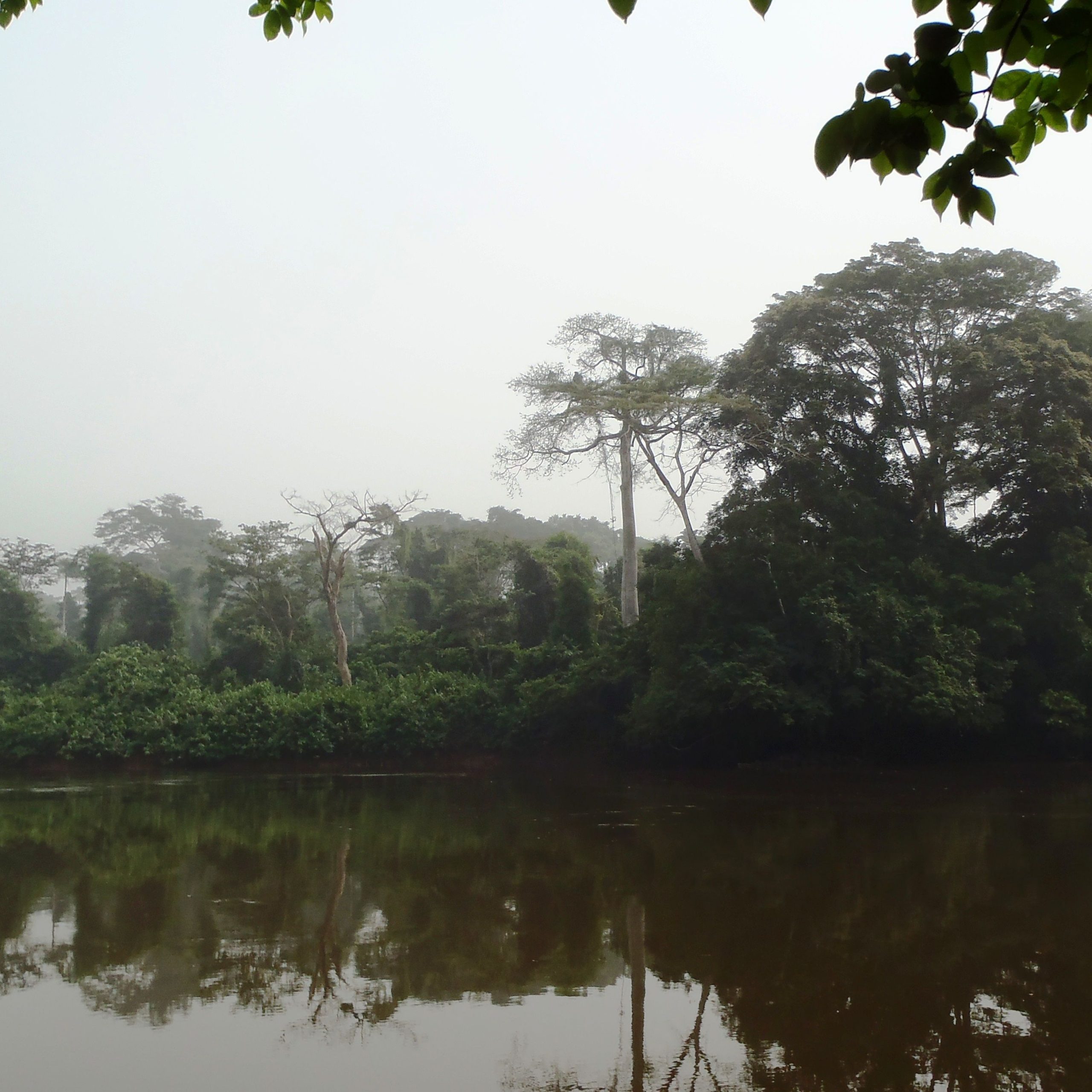 découvrez les merveilles de l'exploration sud comoé, une aventure captivante au cœur des paysages magnifiques, de la biodiversité riche et des cultures vibrantes. plongez dans un voyage inoubliable à travers la nature et les traditions locales.