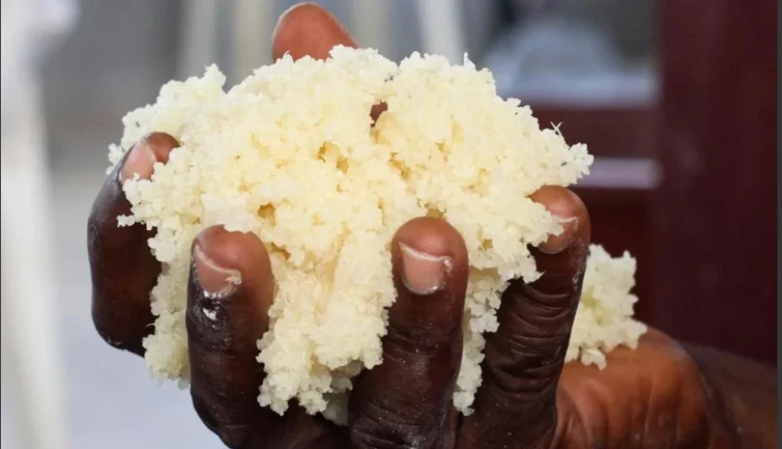 découvrez les délices du tourisme gastronomique en tanzanie, où chaque bouchée révèle des saveurs uniques et des traditions culinaires riches. explorez des marchés locaux, savourez des plats typiques et laissez-vous séduire par la diversité des ingrédients frais et authentiques de cette magnifique destination.