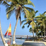 découvrez la richesse du tourisme et des industries culturelles en côte d'ivoire. plongez dans un voyage fascinant à travers ses paysages variés, son patrimoine historique et ses célébrations vibrantes. explorez les opportunités à travers des activités artisanales, la musique et les arts, tout en soutenant le développement durable de cette belle nation.
