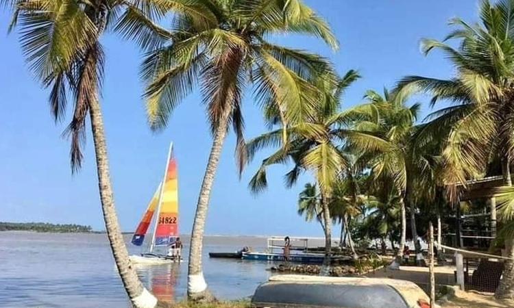 découvrez la richesse du tourisme et des industries culturelles en côte d'ivoire. plongez dans un voyage fascinant à travers ses paysages variés, son patrimoine historique et ses célébrations vibrantes. explorez les opportunités à travers des activités artisanales, la musique et les arts, tout en soutenant le développement durable de cette belle nation.