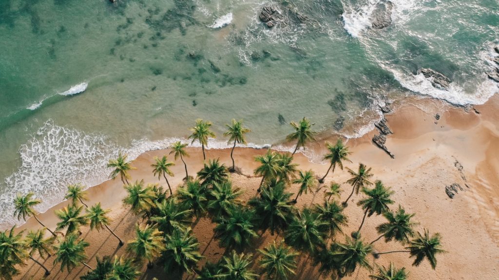 découvrez les enjeux de la sécurité touristique en côte d'ivoire, une destination riche en culture et en paysages. informez-vous sur les mesures prises pour assurer la sécurité des visiteurs et profitez pleinement de votre voyage en toute sérénité.